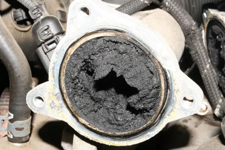 Şaşmaz EGR Temizleme Ve Değişimi