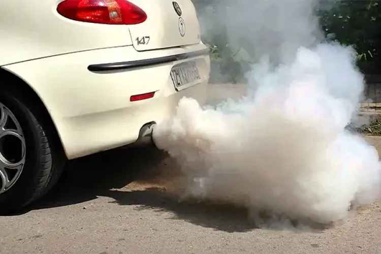 Partikül İptali Duman Atar Mı?