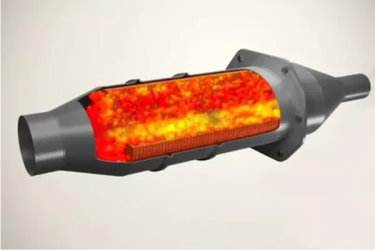 Rejenerasyon Türleri Nelerdir?